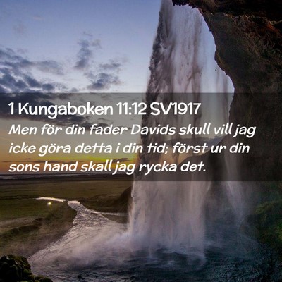 Picture 02 - 1 Kungaboken 11:12 SV1917 - Men för din fader Davids skull vill jag icke - Bible Verse Picture