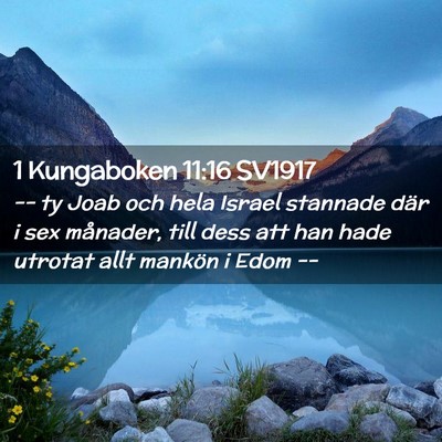 Picture 02 - 1 Kungaboken 11:16 SV1917 - -- ty Joab och hela Israel stannade där i sex - Bible Verse Picture