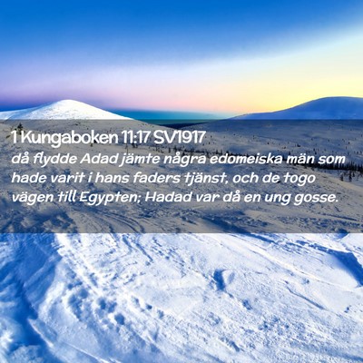 Picture 02 - 1 Kungaboken 11:17 SV1917 - då flydde Adad jämte några edomeiska män som - Bible Verse Picture