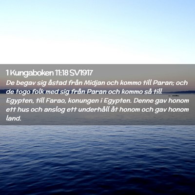 Picture 02 - 1 Kungaboken 11:18 SV1917 - De begav sig åstad från Midjan och kommo till - Bible Verse Picture