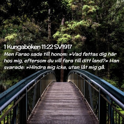 Picture 02 - 1 Kungaboken 11:22 SV1917 - Men Farao sade till honom: »Vad fattas dig här - Bible Verse Picture