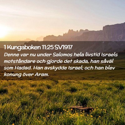 Picture 02 - 1 Kungaboken 11:25 SV1917 - Denne var nu under Salomos hela livstid Israels - Bible Verse Picture