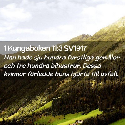 Picture 02 - 1 Kungaboken 11:3 SV1917 - Han hade sju hundra furstliga gemåler och tre - Bible Verse Picture