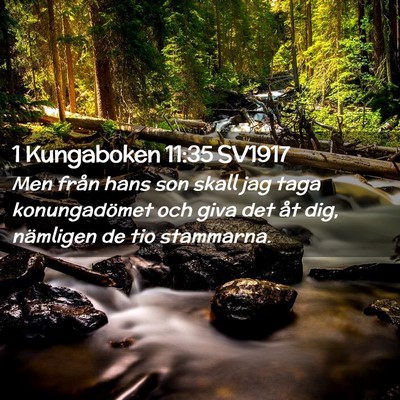 Picture 02 - 1 Kungaboken 11:35 SV1917 - Men från hans son skall jag taga konungadömet - Bible Verse Picture