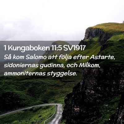 Picture 02 - 1 Kungaboken 11:5 SV1917 - Så kom Salomo att följa efter Astarte, - Bible Verse Picture