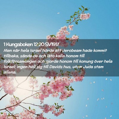Picture 02 - 1 Kungaboken 12:20 SV1917 - Men när hela Israel hörde att Jerobeam hade - Bible Verse Picture