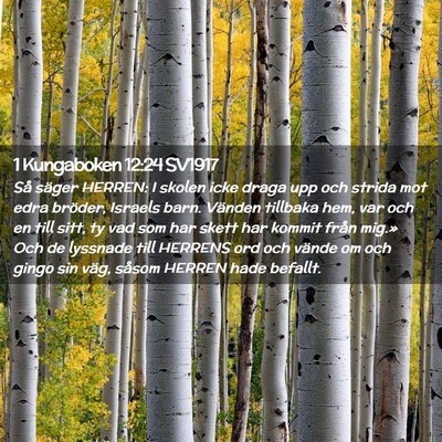 Picture 02 - 1 Kungaboken 12:24 SV1917 - Så säger HERREN: I skolen icke draga upp och - Bible Verse Picture