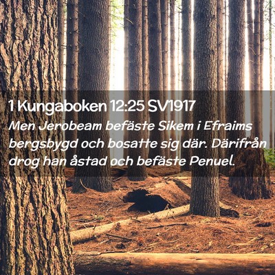 Picture 02 - 1 Kungaboken 12:25 SV1917 - Men Jerobeam befäste Sikem i Efraims bergsbygd - Bible Verse Picture