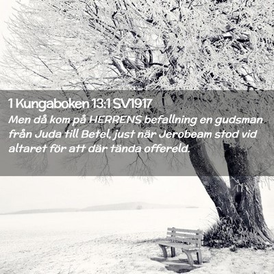 Picture 02 - 1 Kungaboken 13:1 SV1917 - Men då kom på HERRENS befallning en gudsman - Bible Verse Picture