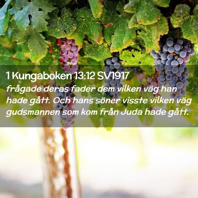 Picture 02 - 1 Kungaboken 13:12 SV1917 - frågade deras fader dem vilken väg han hade - Bible Verse Picture