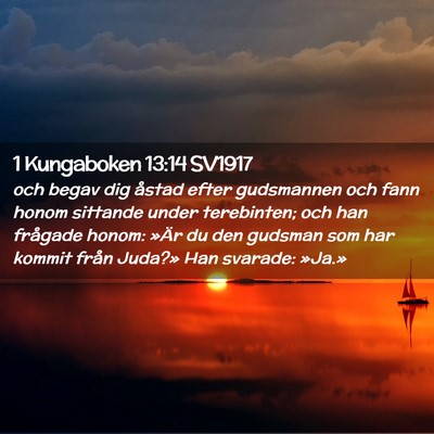 Picture 02 - 1 Kungaboken 13:14 SV1917 - och begav dig åstad efter gudsmannen och fann - Bible Verse Picture