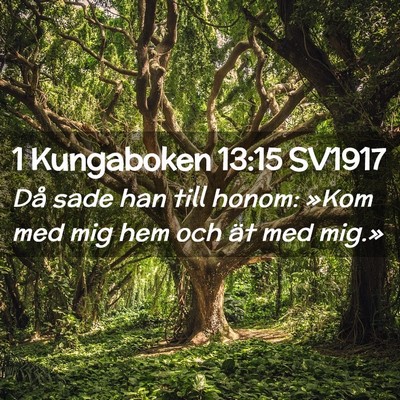 Picture 02 - 1 Kungaboken 13:15 SV1917 - Då sade han till honom: »Kom med mig hem och - Bible Verse Picture
