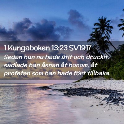 Picture 02 - 1 Kungaboken 13:23 SV1917 - Sedan han nu hade ätit och druckit, sadlade han - Bible Verse Picture