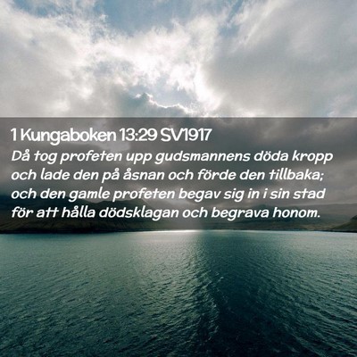 Picture 02 - 1 Kungaboken 13:29 SV1917 - Då tog profeten upp gudsmannens döda kropp och - Bible Verse Picture