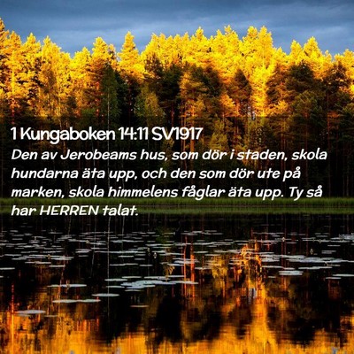 Picture 02 - 1 Kungaboken 14:11 SV1917 - Den av Jerobeams hus, som dör i staden, skola - Bible Verse Picture