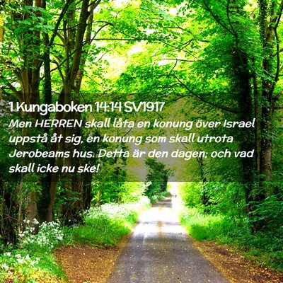 Picture 02 - 1 Kungaboken 14:14 SV1917 - Men HERREN skall låta en konung över Israel - Bible Verse Picture