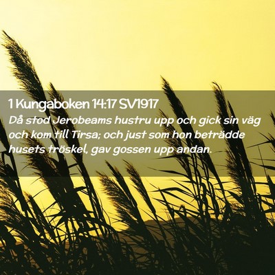 Picture 02 - 1 Kungaboken 14:17 SV1917 - Då stod Jerobeams hustru upp och gick sin väg - Bible Verse Picture