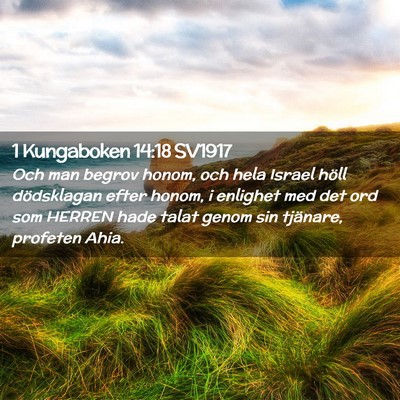 Picture 02 - 1 Kungaboken 14:18 SV1917 - Och man begrov honom, och hela Israel höll - Bible Verse Picture