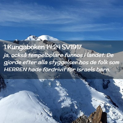 Picture 02 - 1 Kungaboken 14:24 SV1917 - ja, också tempelbolare funnos i landet. De - Bible Verse Picture