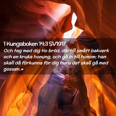 Picture 02 - 1 Kungaboken 14:3 SV1917 - Och tag med dig tio bröd, därtill smått - Bible Verse Picture