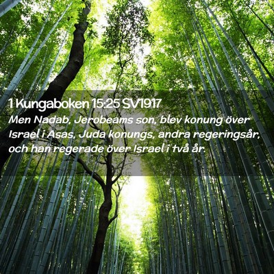 Picture 02 - 1 Kungaboken 15:25 SV1917 - Men Nadab, Jerobeams son, blev konung över - Bible Verse Picture