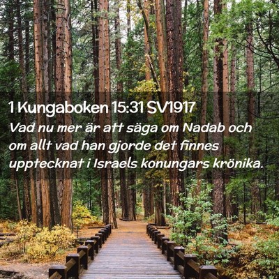 Picture 02 - 1 Kungaboken 15:31 SV1917 - Vad nu mer är att säga om Nadab och om allt vad - Bible Verse Picture