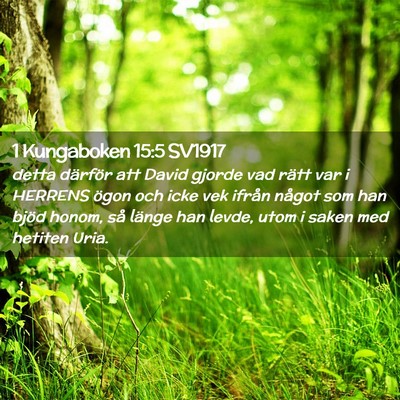 Picture 02 - 1 Kungaboken 15:5 SV1917 - detta därför att David gjorde vad rätt var i - Bible Verse Picture