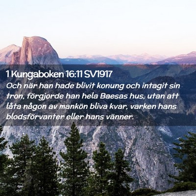 Picture 02 - 1 Kungaboken 16:11 SV1917 - Och när han hade blivit konung och intagit sin - Bible Verse Picture