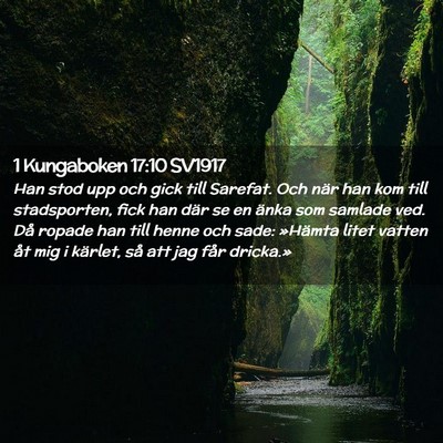 Picture 02 - 1 Kungaboken 17:10 SV1917 - Han stod upp och gick till Sarefat. Och när han - Bible Verse Picture