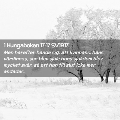 Picture 02 - 1 Kungaboken 17:17 SV1917 - Men härefter hände sig, att kvinnans, hans - Bible Verse Picture