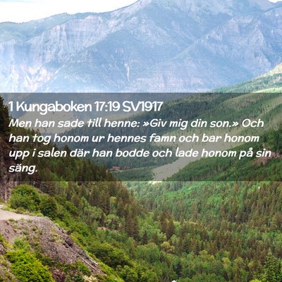 Picture 02 - 1 Kungaboken 17:19 SV1917 - Men han sade till henne: »Giv mig din son.» Och - Bible Verse Picture