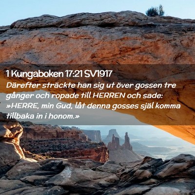 Picture 02 - 1 Kungaboken 17:21 SV1917 - Därefter sträckte han sig ut över gossen tre - Bible Verse Picture