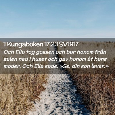 Picture 02 - 1 Kungaboken 17:23 SV1917 - Och Elia tog gossen och bar honom från salen ned - Bible Verse Picture