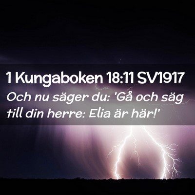 Picture 02 - 1 Kungaboken 18:11 SV1917 - Och nu säger du: 'Gå och säg till din herre: - Bible Verse Picture