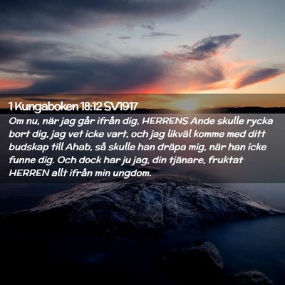 Picture 02 - 1 Kungaboken 18:12 SV1917 - Om nu, när jag går ifrån dig, HERRENS Ande - Bible Verse Picture