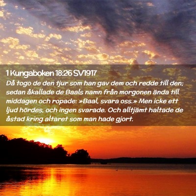 Picture 02 - 1 Kungaboken 18:26 SV1917 - Då togo de den tjur som han gav dem och redde - Bible Verse Picture