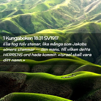Picture 02 - 1 Kungaboken 18:31 SV1917 - Elia tog tolv stenar, lika många som Jakobs - Bible Verse Picture