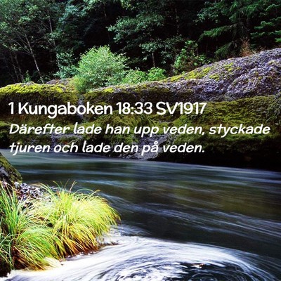 Picture 02 - 1 Kungaboken 18:33 SV1917 - Därefter lade han upp veden, styckade tjuren och - Bible Verse Picture