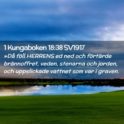 Picture 02 - 1 Kungaboken 18:38 SV1917 - »Då föll HERRENS ed ned och förtärde - Bible Verse Picture