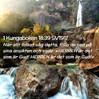 Picture 02 - 1 Kungaboken 18:39 SV1917 - När allt folket såg detta, föllo de ned på - Bible Verse Picture