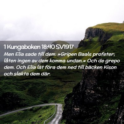 Picture 02 - 1 Kungaboken 18:40 SV1917 - Men Elia sade till dem: »Gripen Baals profeter; - Bible Verse Picture