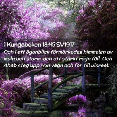 Picture 02 - 1 Kungaboken 18:45 SV1917 - Och i ett ögonblick förmörkades himmelen av - Bible Verse Picture