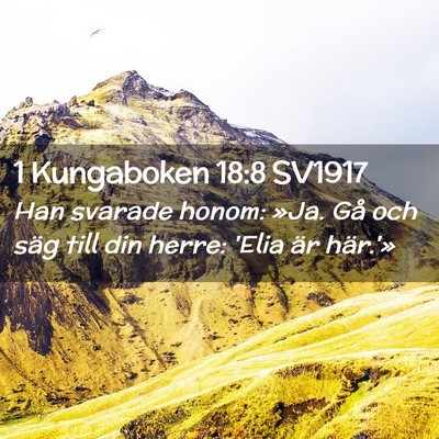 Picture 02 - 1 Kungaboken 18:8 SV1917 - Han svarade honom: »Ja. Gå och säg till din - Bible Verse Picture
