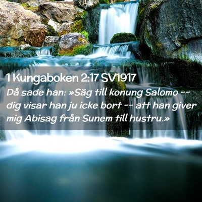 Picture 02 - 1 Kungaboken 2:17 SV1917 - Då sade han: »Säg till konung Salomo -- dig - Bible Verse Picture