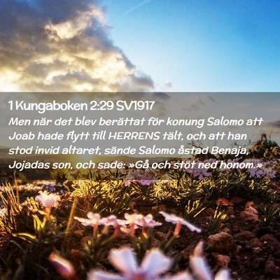 Picture 02 - 1 Kungaboken 2:29 SV1917 - Men när det blev berättat för konung Salomo - Bible Verse Picture