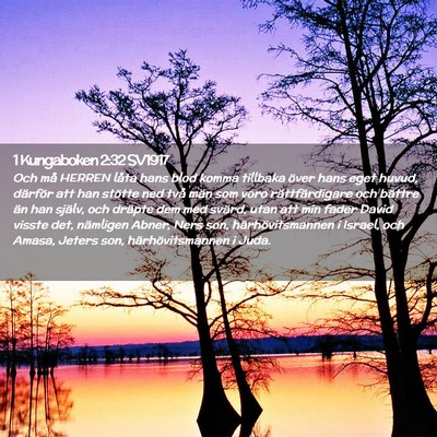 Picture 02 - 1 Kungaboken 2:32 SV1917 - Och må HERREN låta hans blod komma tillbaka - Bible Verse Picture