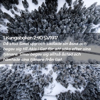 Picture 02 - 1 Kungaboken 2:40 SV1917 - Då stod Simei upp och sadlade sin åsna och - Bible Verse Picture