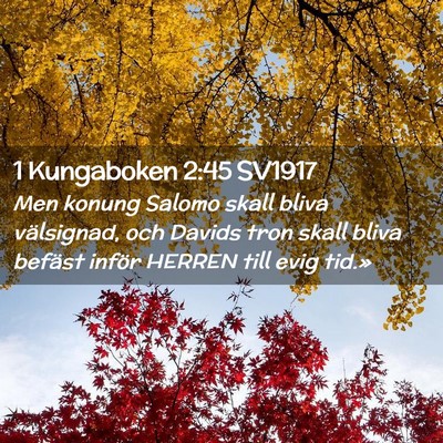 Picture 02 - 1 Kungaboken 2:45 SV1917 - Men konung Salomo skall bliva välsignad, och - Bible Verse Picture