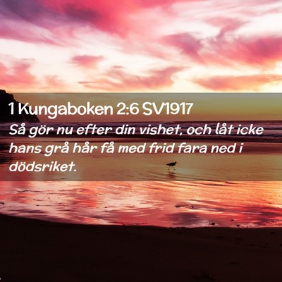 Picture 02 - 1 Kungaboken 2:6 SV1917 - Så gör nu efter din vishet, och låt icke hans - Bible Verse Picture