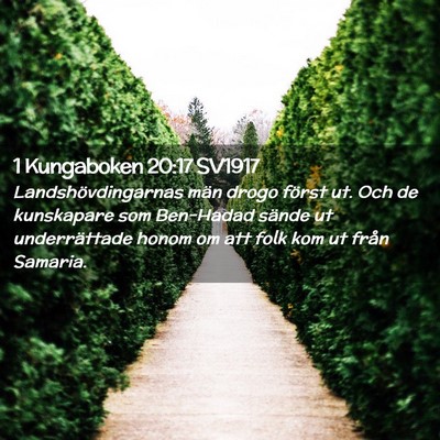 Picture 02 - 1 Kungaboken 20:17 SV1917 - Landshövdingarnas män drogo först ut. Och de - Bible Verse Picture